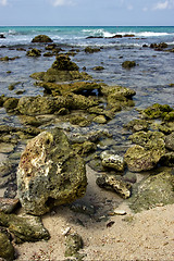 Image showing beach rock and stone cabin  in  republica dominicana