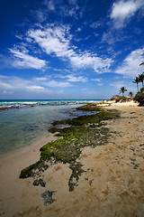 Image showing beach rock and stone cabin and palm in  republica dominicana