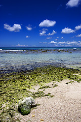 Image showing beach rock and stone in  republica dominicana