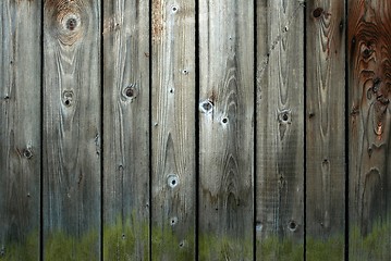 Image showing Fine texture of grunge old wood background