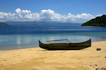 Image showing  boat palm  rock stone branch  lagoon 