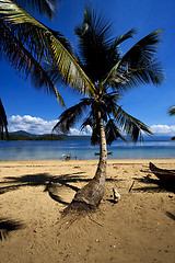 Image showing  nosy be rock stone branch boat palm lagoon 