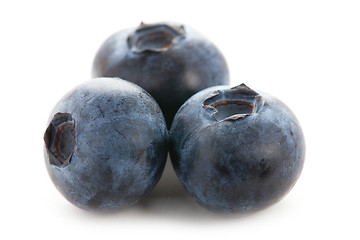 Image showing blueberries isolated on white background