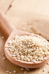 Image showing sesame seeds