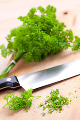 Image showing chopped parsley