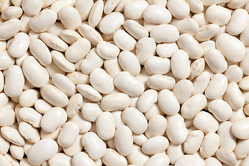 Image showing white beans background