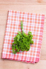Image showing green parsley