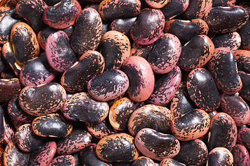 Image showing color beans background