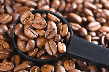 Image showing coffee beans in scoop