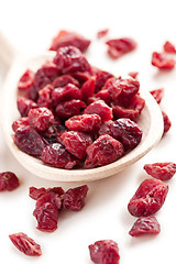 Image showing dried cranberries