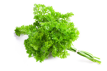 Image showing parsley on white background