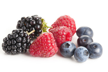 Image showing forest fruits