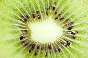 Image showing macro shot of kiwi fruit