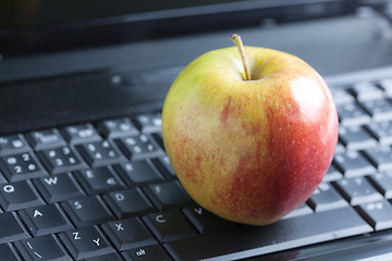 Image showing apple on laptop