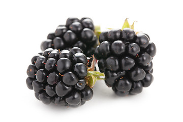 Image showing blackberries on white background