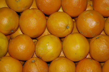 Image showing Oranges