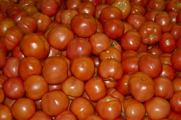 Image showing Tomatoes