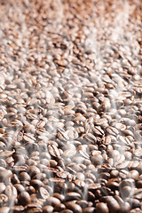 Image showing roasted coffee beans