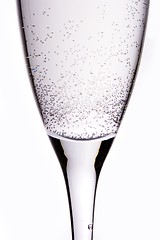 Image showing Champagne Close Up