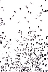 Image showing Champagne Bubbles