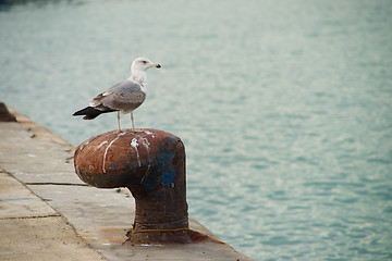 Image showing Bollard