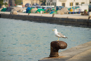 Image showing Fishing harbor