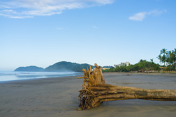 Image showing Tropical beach