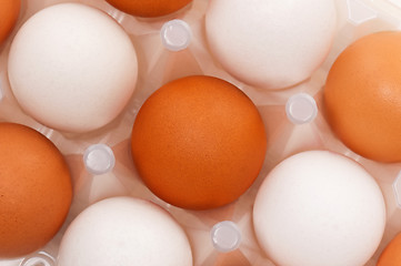 Image showing Eggs in box