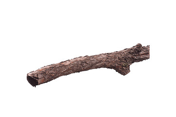 Image showing Tree branch