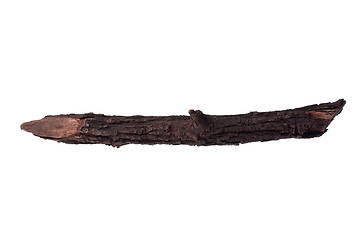 Image showing Tree branch