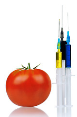 Image showing Genetically modified organism