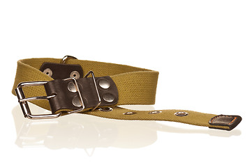 Image showing Dog collar