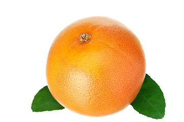 Image showing Ripe grapefruit