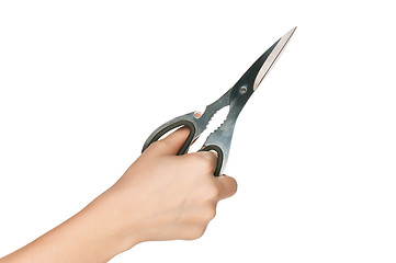 Image showing Hand with scissors