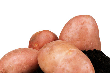 Image showing Potatoes