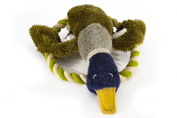 Image showing Stuffed duck dog toy