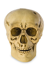 Image showing Human skull