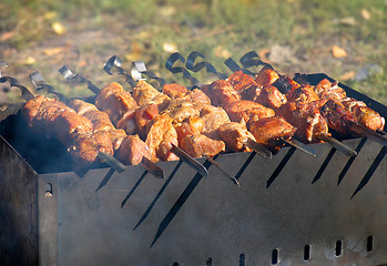 Image showing Shashlik