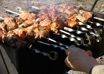 Image showing Shashlik