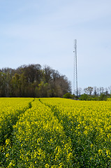 Image showing Mast