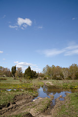 Image showing Dirt road