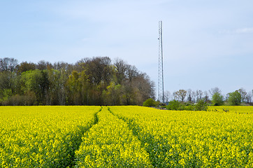 Image showing Tracks