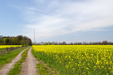 Image showing Road to mast