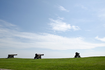 Image showing Canons