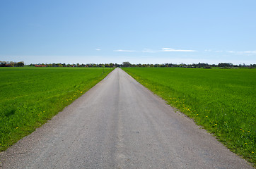 Image showing Road