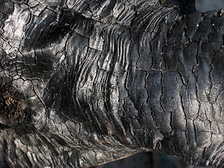 Image showing Charcoal texture