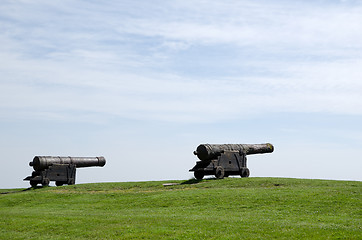 Image showing Old canons