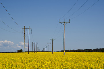 Image showing Power lines