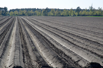 Image showing Plough rows