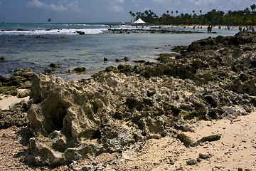 Image showing stone cabin and palm in  republica dominicana